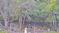 Big Sur - Big Sur River Inn