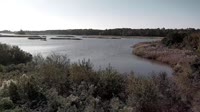 Surry - Hog Island - Wildlife Management Area