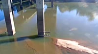 Cayce - Congaree River