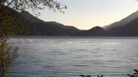 Olimpo nacionalinis parkas - Lake Crescent