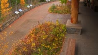 West Glacier - Apgar Visitor Center