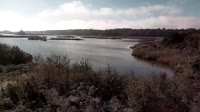 Surry - Hog Island - Wildlife Management Area