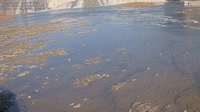 Cohoes Falls