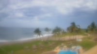 Masatlanas - Estrella del Mar