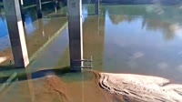 Cayce - Congaree River