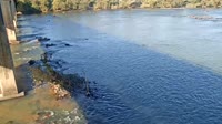 West Columbia - Congaree River