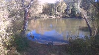 Bent Creek - French Broad River
