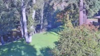 Big Sur - Big Sur River Inn