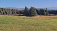 Fritz Creek - Kenai Peninsula