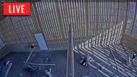 Brookfield - Raptor Flight Facility