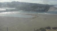 Del Mar - Dog beach