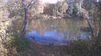 Bent Creek - French Broad River