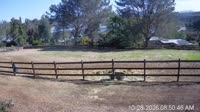 San Diego - Foaling stall
