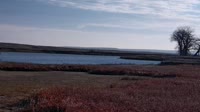 Malta - American Prairie
