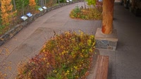 West Glacier - Apgar Visitor Center
