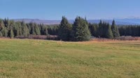 Fritz Creek - Kenai Peninsula