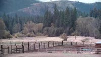 Quincy - Greenhorn Dude Ranch
