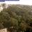 Miniatiūra