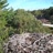 Miniatiūra