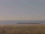 Grand Isle - Plaża