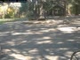 Crestline - Thousand Pines Christian Camp