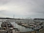 Newport - Embarcadero Marina