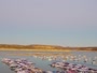 Navajo Lake - Marina