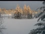 Fairbanks - Chena River