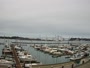 Newport - Embarcadero Marina