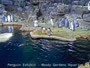 Galveston - Moody Gardens - Pinguini
