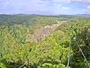 Kuranda - Barron Falls