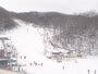 Gatlinburg - Ober Gatlinburg Ski Area