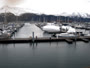 Seward - Harbor