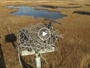 Boston - Belle Isle Marsh - Osprey's nest
