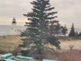Bristol - Pemaquid Point Light