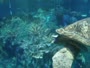 Boston - New England Aquarium
