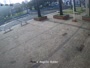 Taguaí - Raccolta di webcam