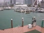Miami - Venetian Marina