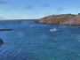 Monhegan - Harbor