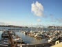 Newport - Embarcadero Marina