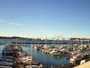 Newport - Embarcadero Marina