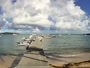 Saint Croix - Christiansted - Teague Bay