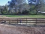 San Diego - Foaling stall