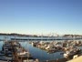 Newport - Embarcadero Marina
