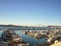 Newport - Embarcadero Marina