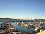Newport - Embarcadero Marina