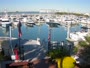 Tampa - Westshore Yacht Club Marina