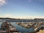 Newport - Embarcadero Marina