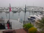 Tampa - Westshore Yacht Club Marina