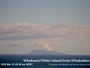 Whakatane - White Island